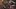 Galeria: charakteryzacja w Soulcalibur: Broken destiny
