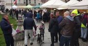 Radom: Jarmark Kaziukowy na Placu Corazziego. Trzy dni tradycji i regionalnych smaków. Sprawdź szczegóły