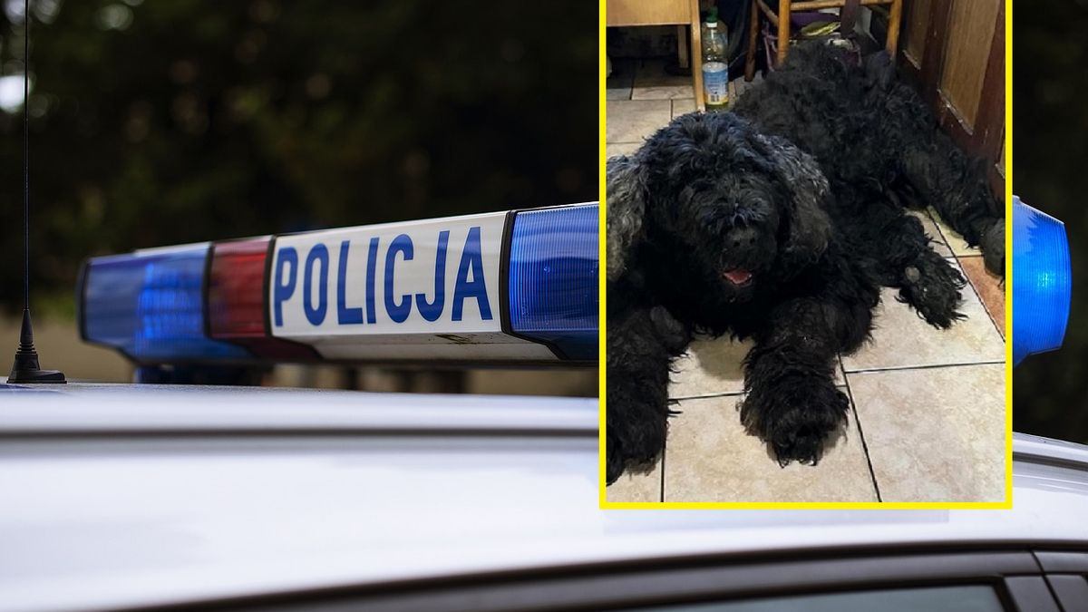 Policja prowadzi postępowanie w sprawie interwencji.