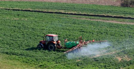 Kontrola żywności. Dopuszczalny poziom pestycydów przekroczony. Polska w europejskiej czołówce