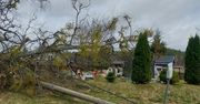 Słupsk: Silny wiatr w Poniedziałek Wielkanocny. Dziesiątki interwencji