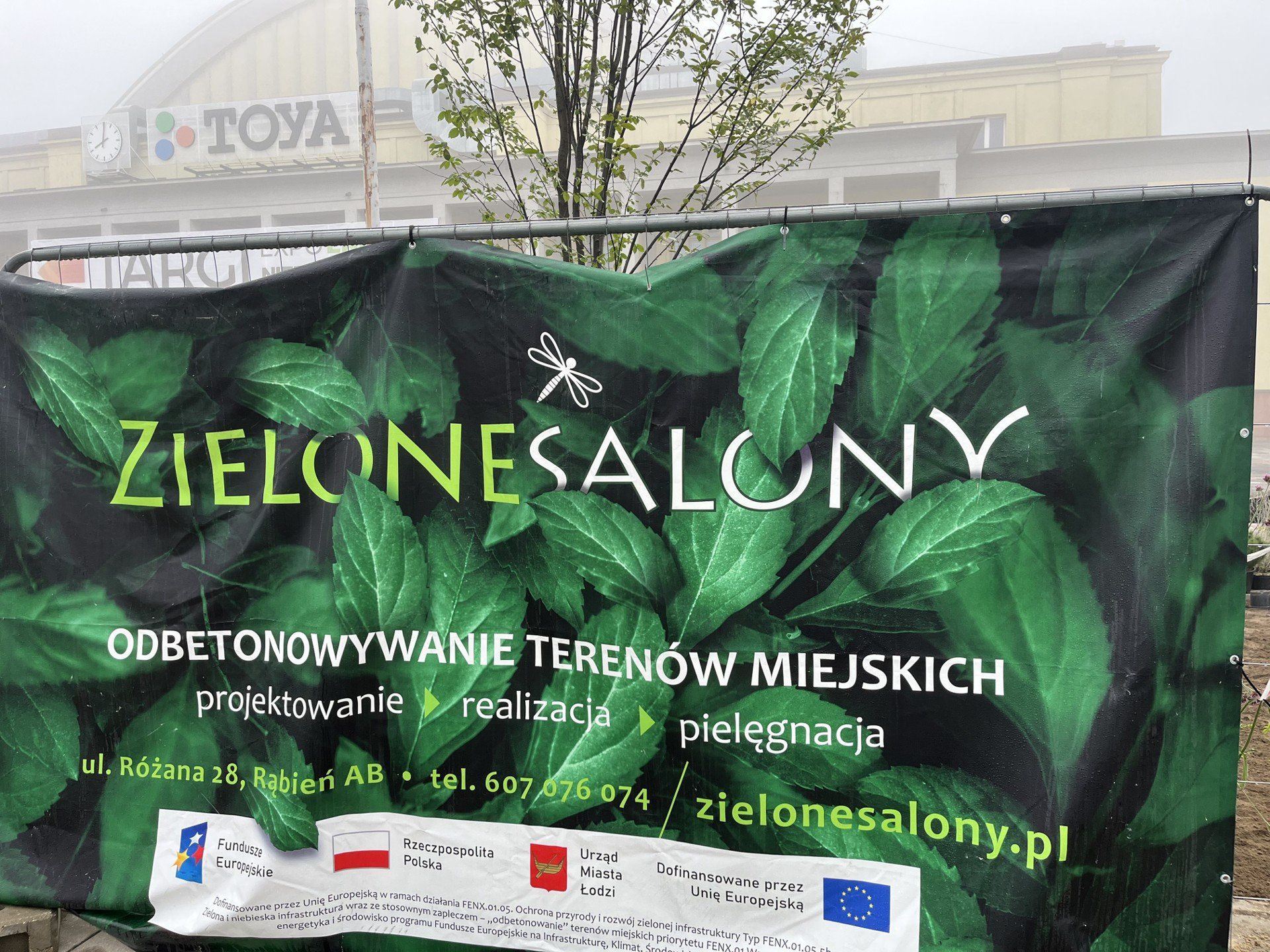 Koniec z betonozą? Nowe drzewka przed Halą EXPO