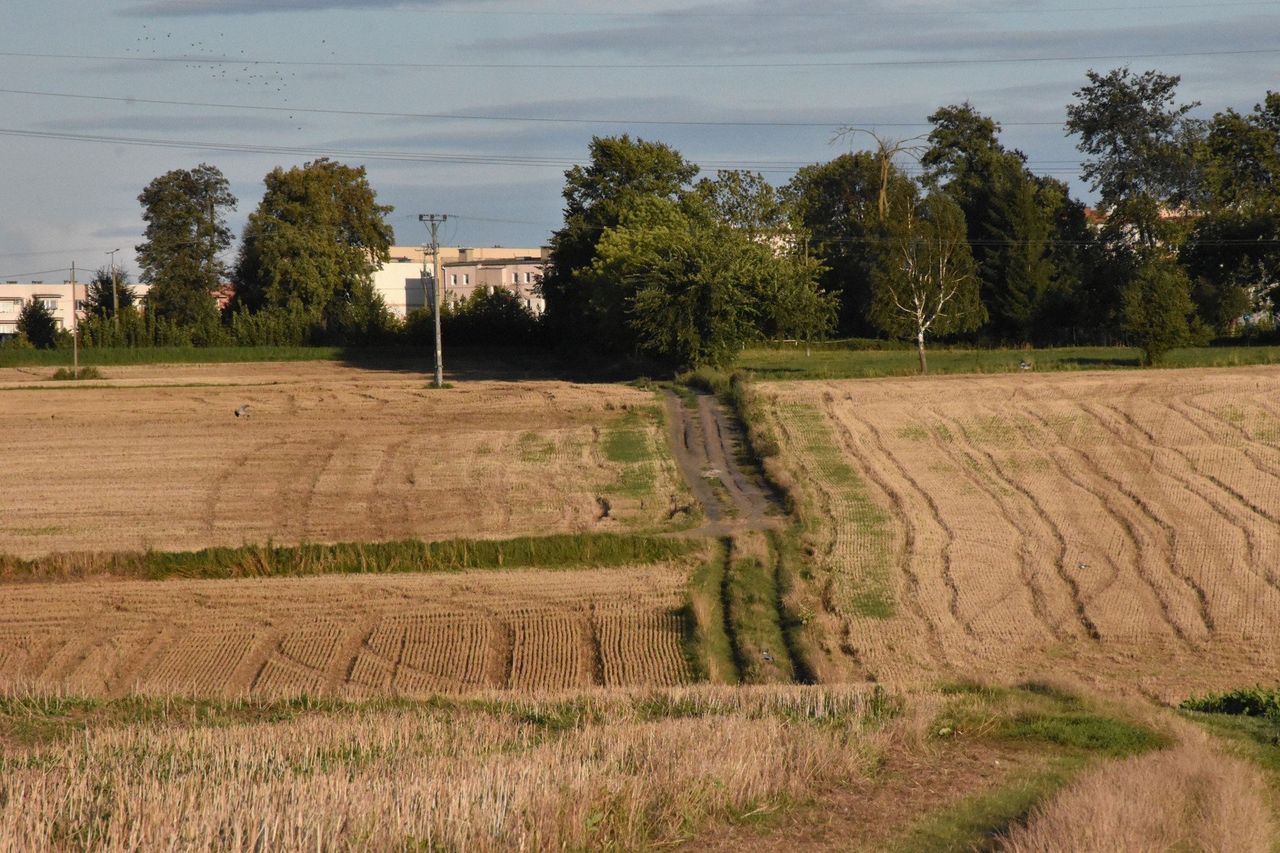 Nadciąga radykalna zmiana pogody. Lato wróci w zaskakującym momencie