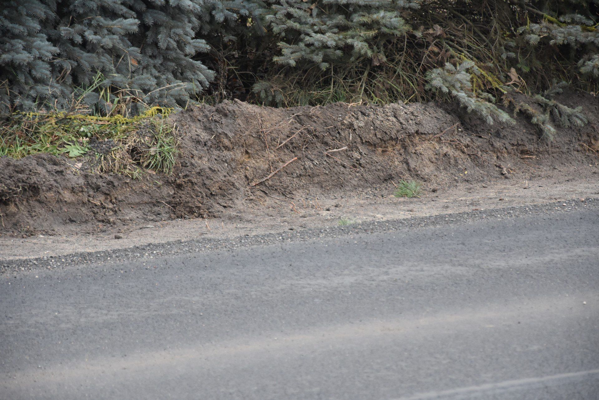 Nowa ścieżka rowerowa na trasie Morakowo - Morakówko