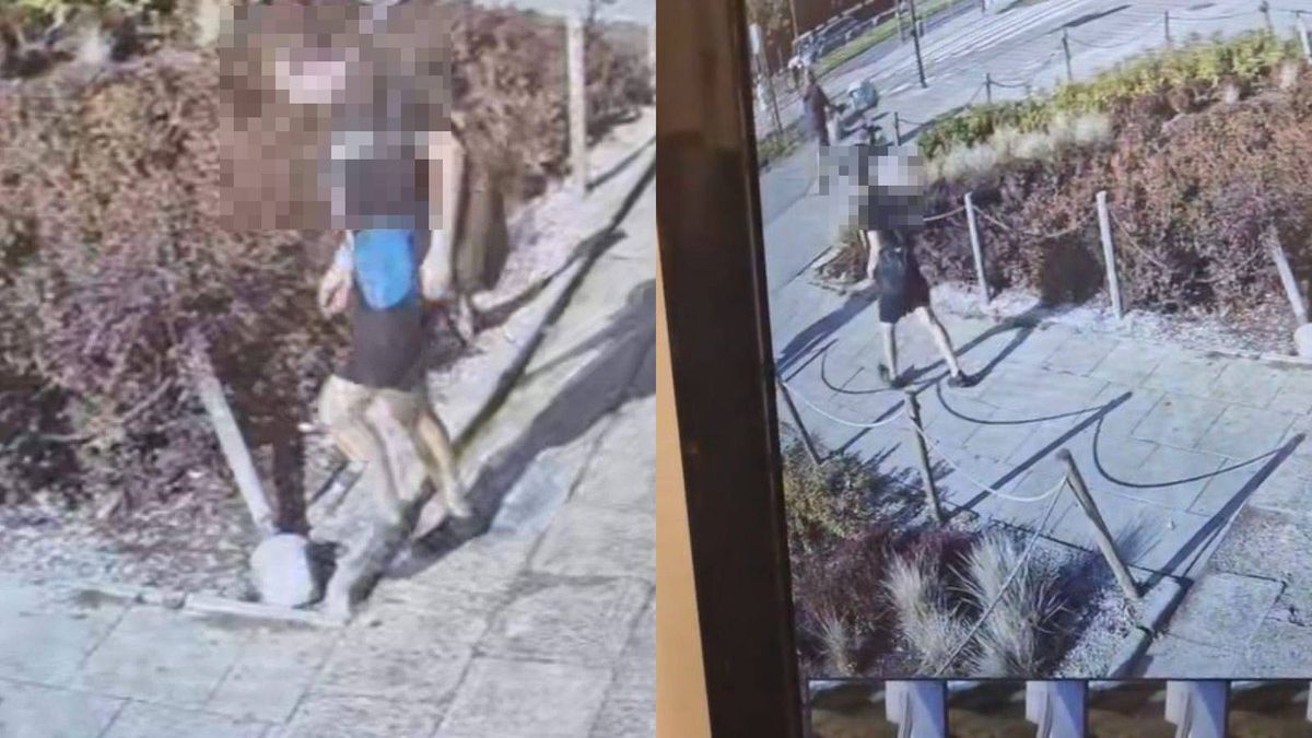 Pani Magdalena szuka sprawcy pobicia swego ojca