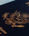 Najpotężniejsze paszporty świata. Polska na 15. miejscu