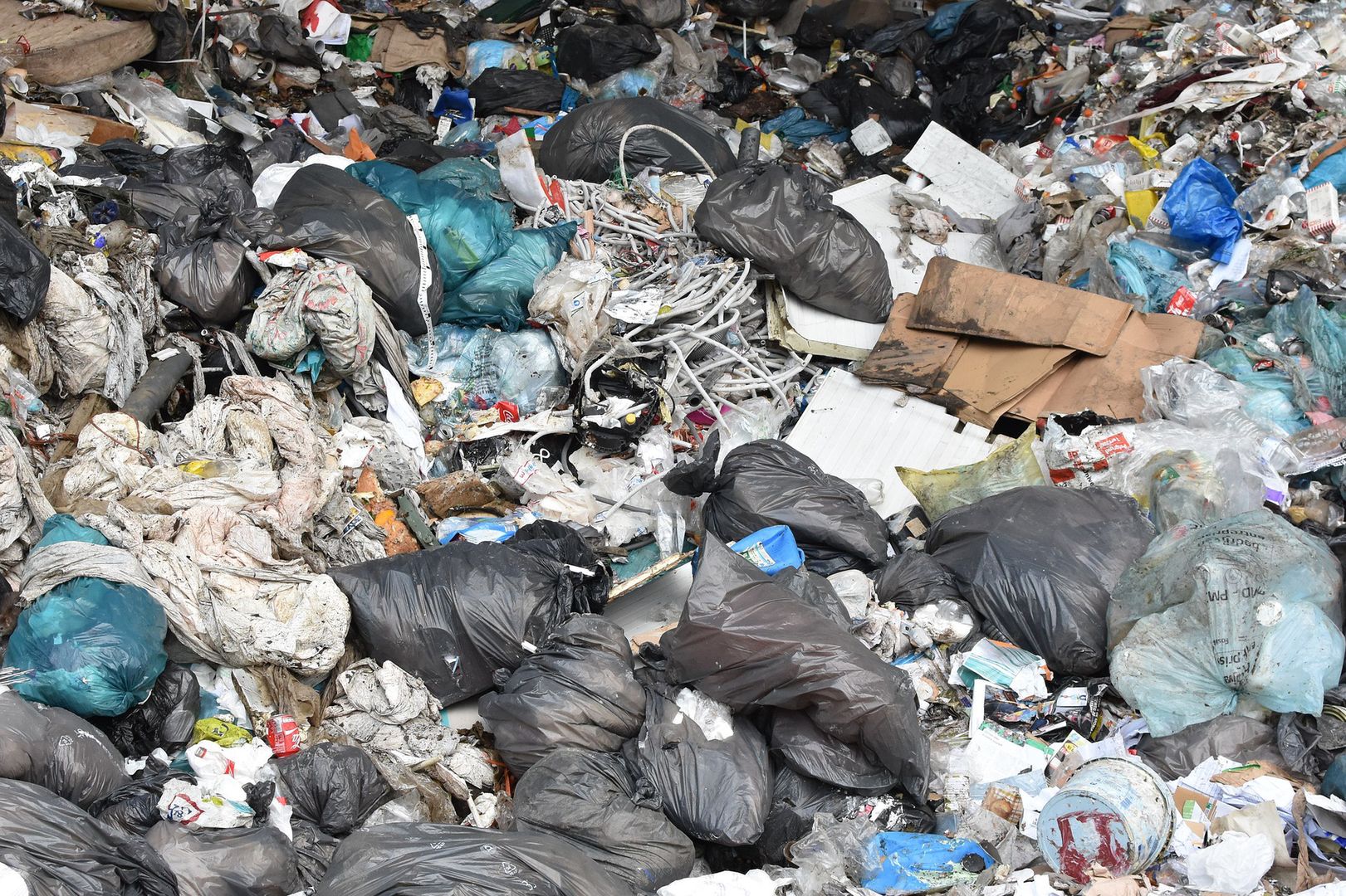 Niezwykłe odkrycie w sortowni śmieci w Kaliszu. Pokazali zdjęcia