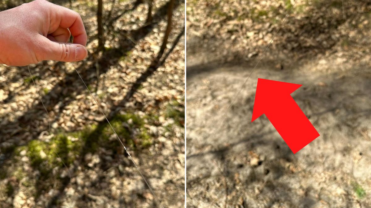 Ktoś rozwiesił żyłkę. Pan Konrad ostrzega.