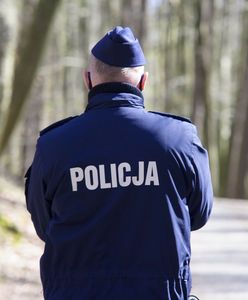 Mówiła, że widzi tylko las. Policjanci wpadli na pewien pomysł