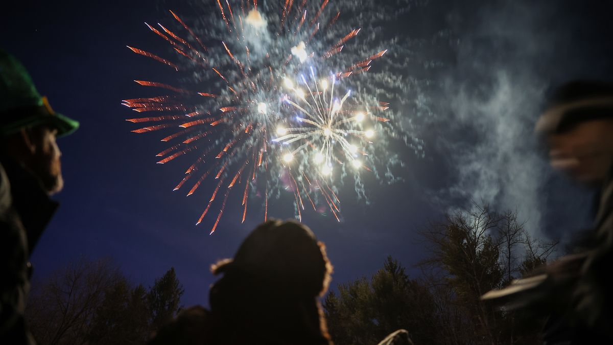 Fajerwerki wywołują silny stres u ptaków