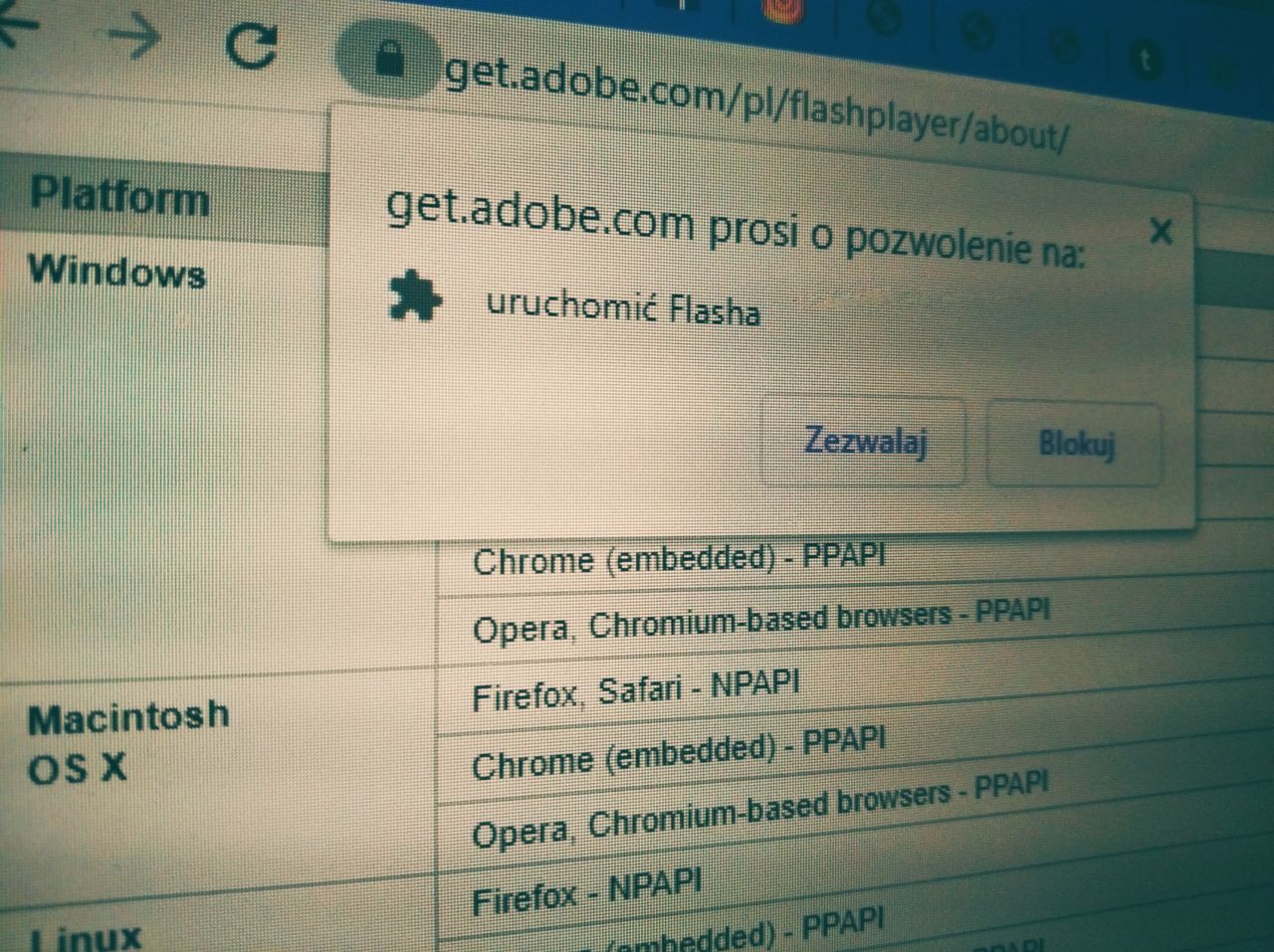 Adobe Flash Player dokona żywota w 2020 (fot. Kamil Dudek)