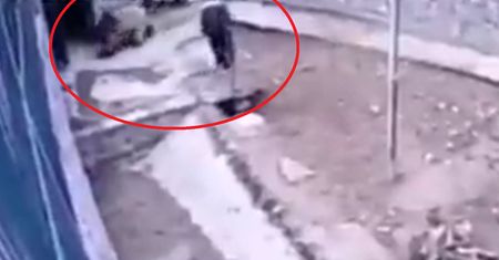 Zwierzę zabiło opiekuna. Tragedia w zoo