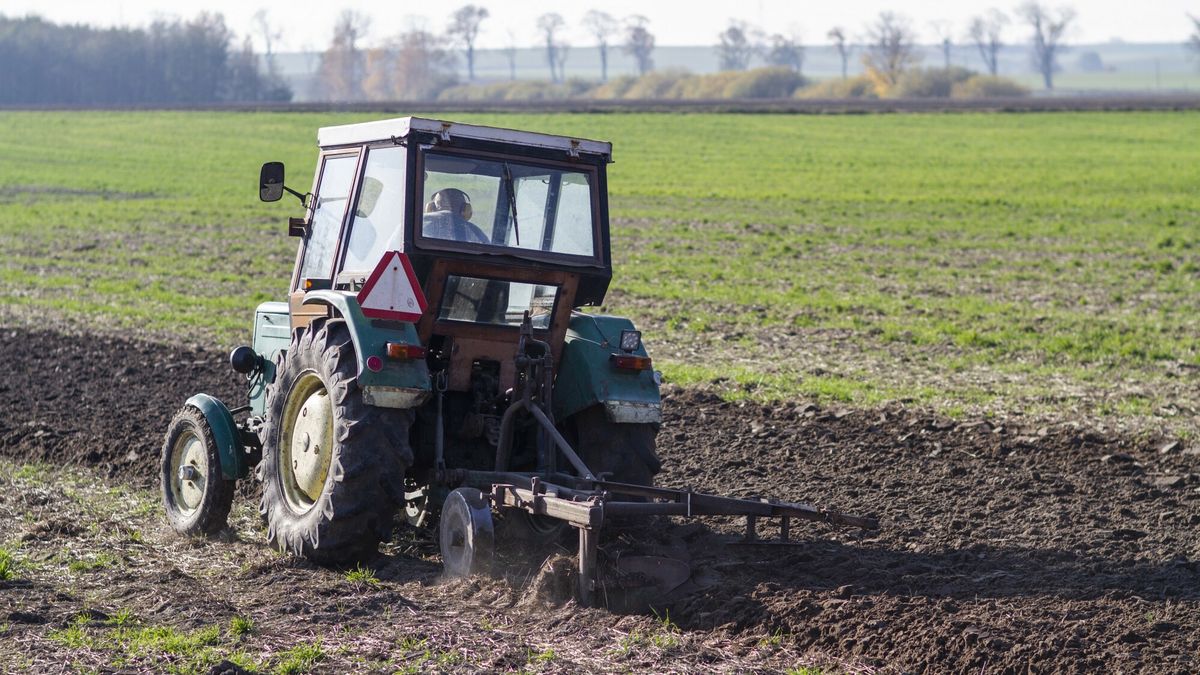 Zasiane jesienią rośliny wiosną wymagają nawożenia. Ceny nawozów są jednak tak wysokie, że rolnicy ostrzegają: plony będą w tym roku dużo niższe