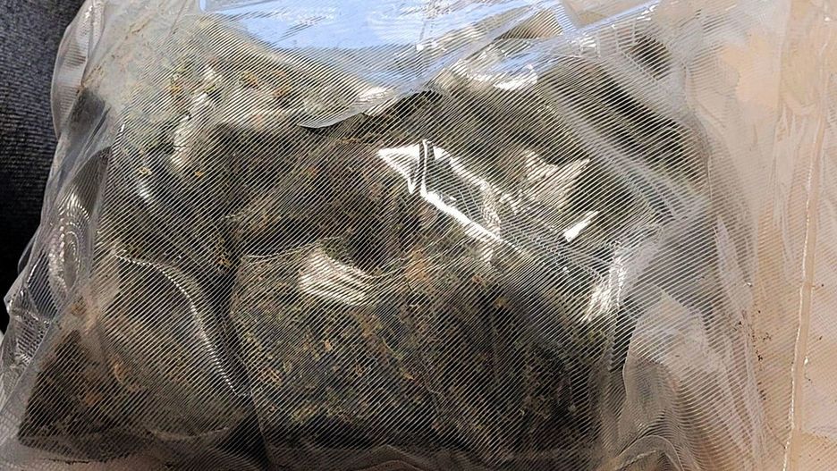 Marihuana znaleziona w plecaku 20-latki