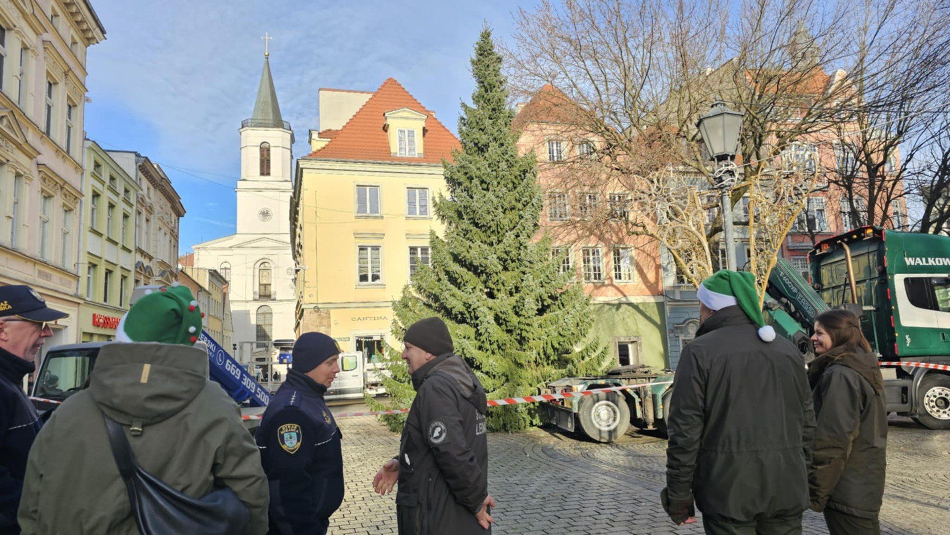 Choinka na deptaku w Zielonej Górze już jest!