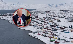 "Musimy mieć". Stanowczy głos Trumpa. Chodzi o Grenlandię