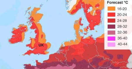 Amerykańska prognoza na lipiec. Co nas czeka?