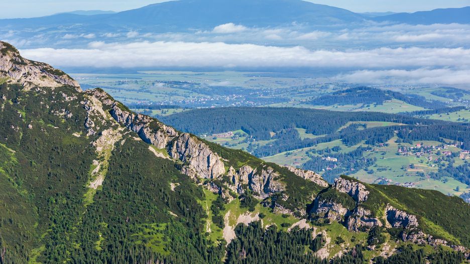 Podczas spaceru na szlaku można spotkać ciekawe zwierzęta
