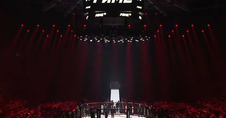 FAME MMA opublikowało wyniki finansowe. Ogromny przychód!