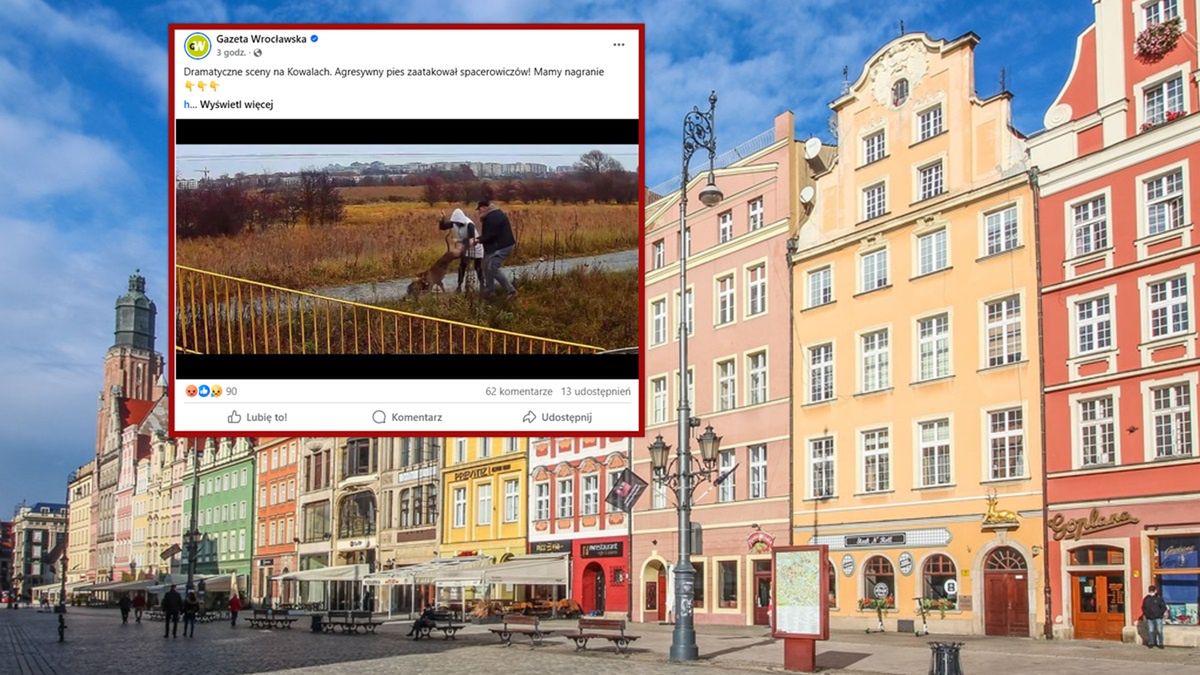 Agresywny pies zaatakował we Wrocławiu.