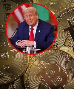 Cła Trumpa nie zaszkodziły Bitcoinowi. Co to oznacza dla inwestorów?