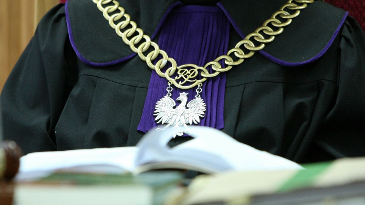 Gra?yna Szapo?owska kontra Jan EnglertPHOTO: STANISLAW KOWALCZUK/EAST NEWS WARSZAWA 30/11/2011   POCZATEK PROCESU GRAZYNY SZAPOLOWSKIEJ KONTRA JAN ENGLERT O PRZYWROCENIE DO PRACY  N/Z: SEDZIA LANCUCHSTANISLAW KOWALCZUK