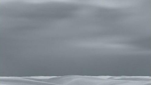 SWPA 2009: David Zimmerman zdobył nagrodę L'Iris D'Or 1