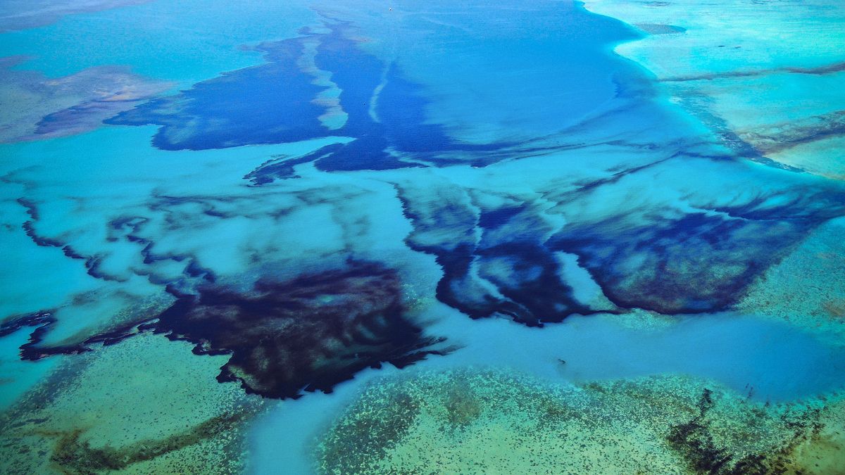 Wyciek ropy na Mauritiusie