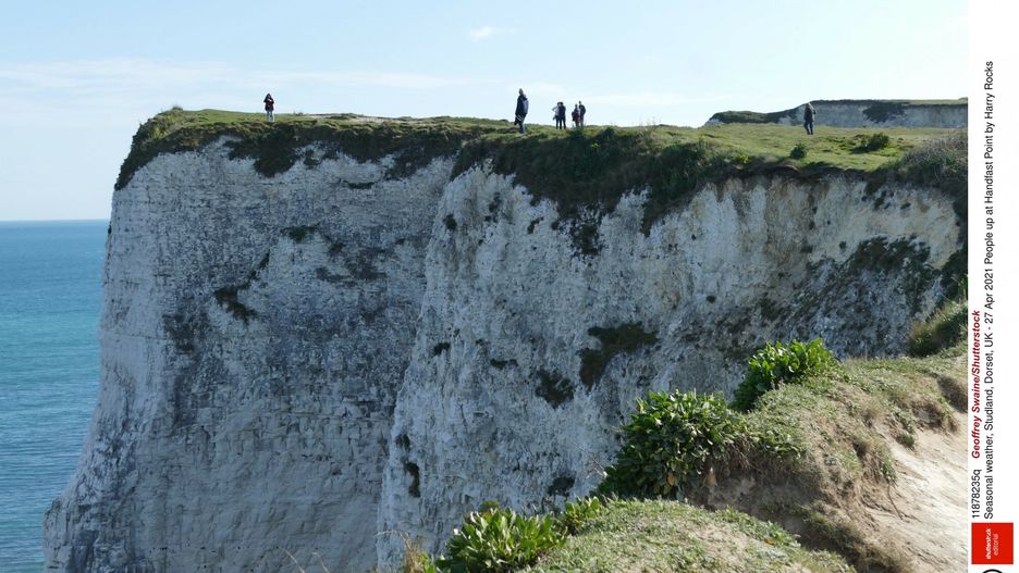 dorset