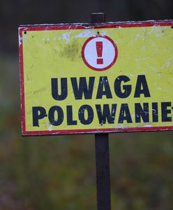 "Słyszymy w lesie strzały". Tak gmina chce zakazać łowów