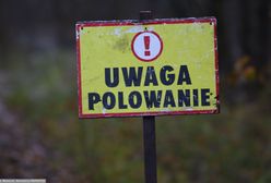 "Słyszymy w lesie strzały". Tak gmina chce zakazać łowów