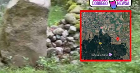 Pokazali kopce w środku lasu. Mają ponad 3500 lat