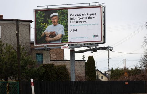 Billboardy zachęcające do lepszego traktowania zwierząt w 22 miejscowościach