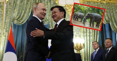 Ogromny prezent dla Putina. Stwierdził, że mu się przyda