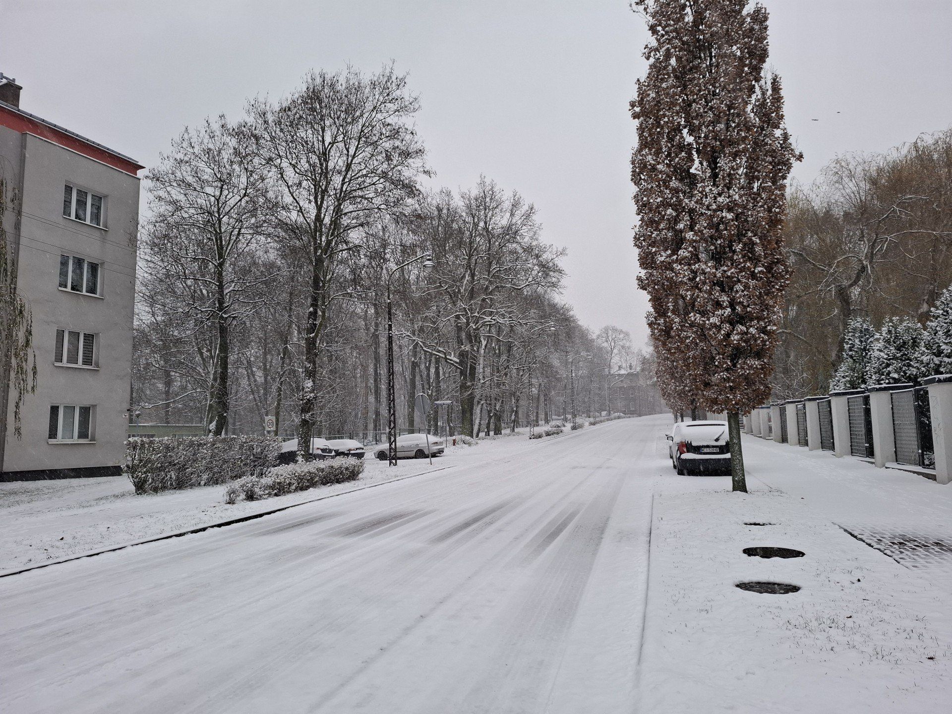 Atak zimy w Częstochowie, 23.11.2025