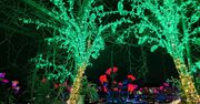 Magiczne miejsca i wyśrubowane ceny. Turyści płacą i płaczą
