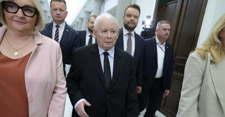 Republika, Kral i PiS. Kaczyński nie chce się odcinać, Sakiewicz ze wsparciem partii