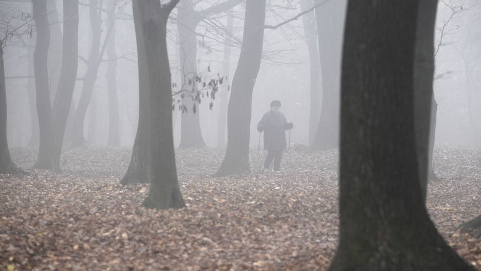 Wrocław. Pogoda. 10 listopada - coraz chłodniej. Jest nadzieja na cieplejszy koniec tygodniaz