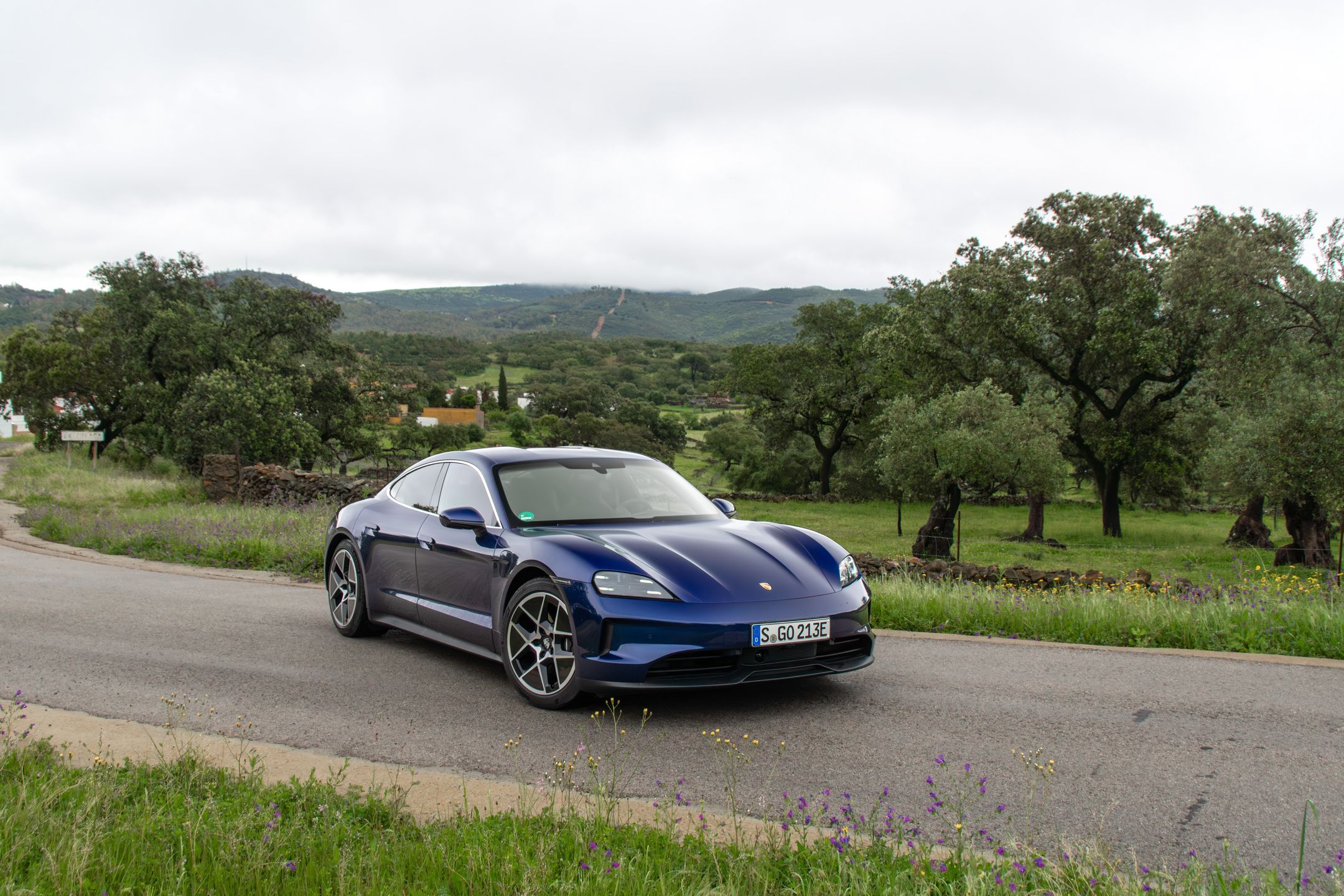 Porsche Taycan FL 2024