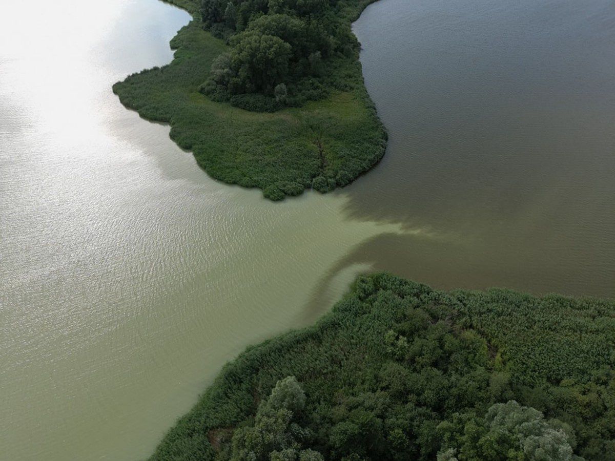 Jezioro Gopło (Fot. Nadgoplańskie WOPR Kruszwica )