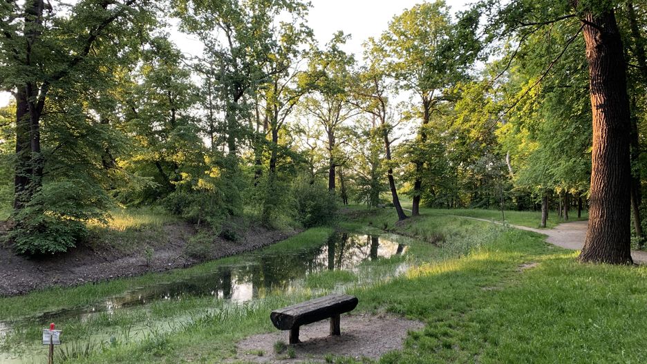 Wrocław park pogoda