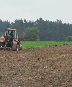 Kontrole u rolników. Ruszą lada chwila. Można stracić dopłaty