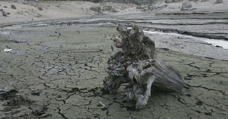 Krytyczna sytuacja. Katalonia ogłosiła stan nadzwyczajny