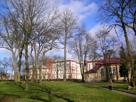 Obraz