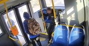 Ukradł siedzisko z autobusu w Koszalinie. "Przypadkiem się przykleił"
