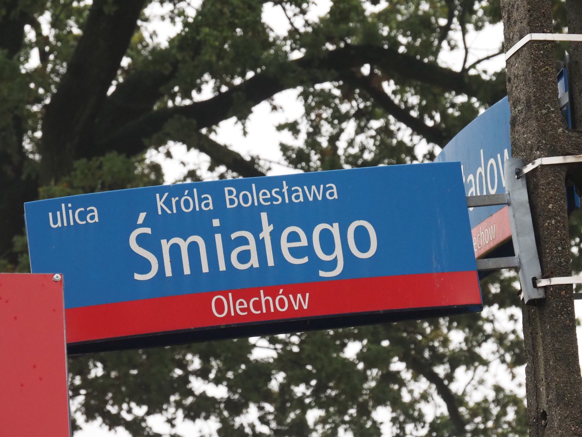 Ulica Śmiałego odchodzi od Zakładowej na wprost Lidla