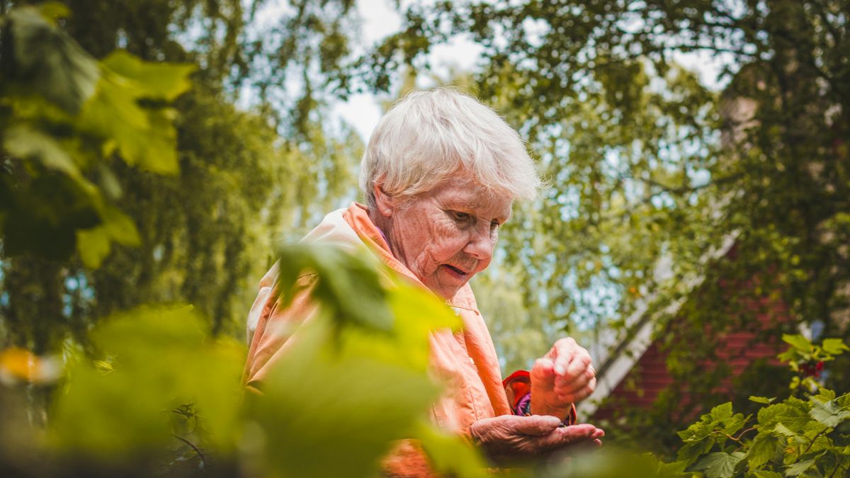 Pani Barbara z Bydgoszczy z dnia na dzień znalazła się na ulicy