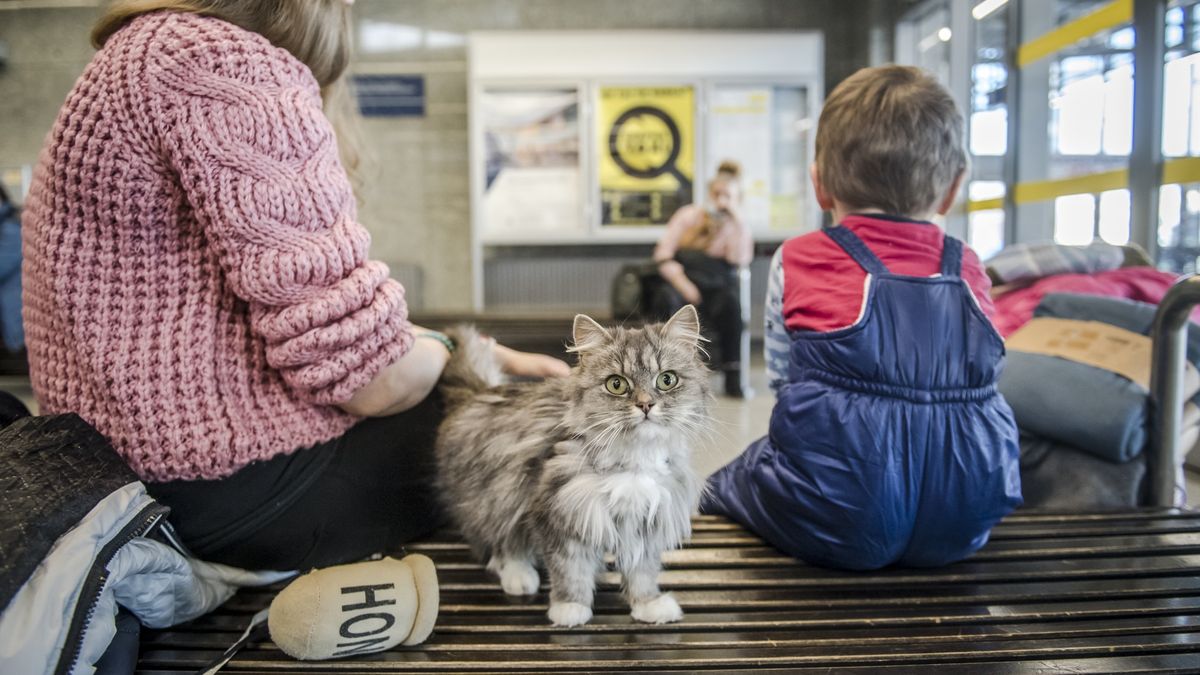 Uchodźcy z Ukrainy w Warszawie, fot. Mieszko Piętka/AKPA