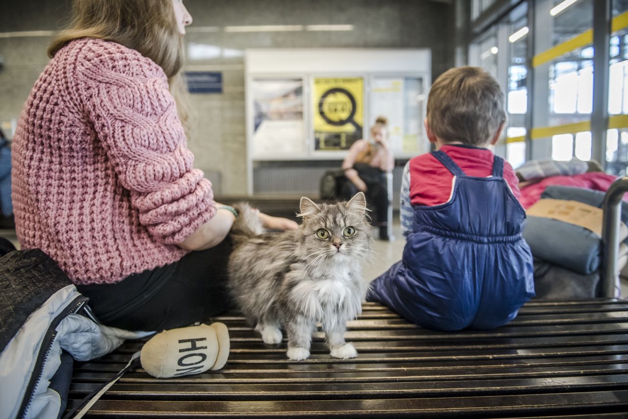 Zmienia się prawo dot. pomocy uchodźcom. Do kiedy trzeba złożyć wniosek o dopłaty za zakwaterowanie?