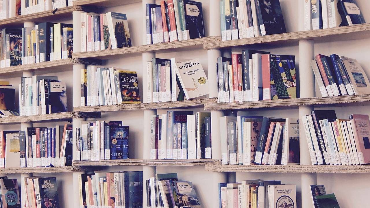 Biblioteka